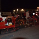 Listowel Night Parade