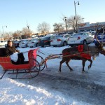 Stratford Location Photo shoot - Owner going for a Sleigh Ride