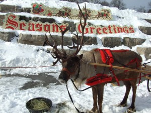 Seasons Greetings